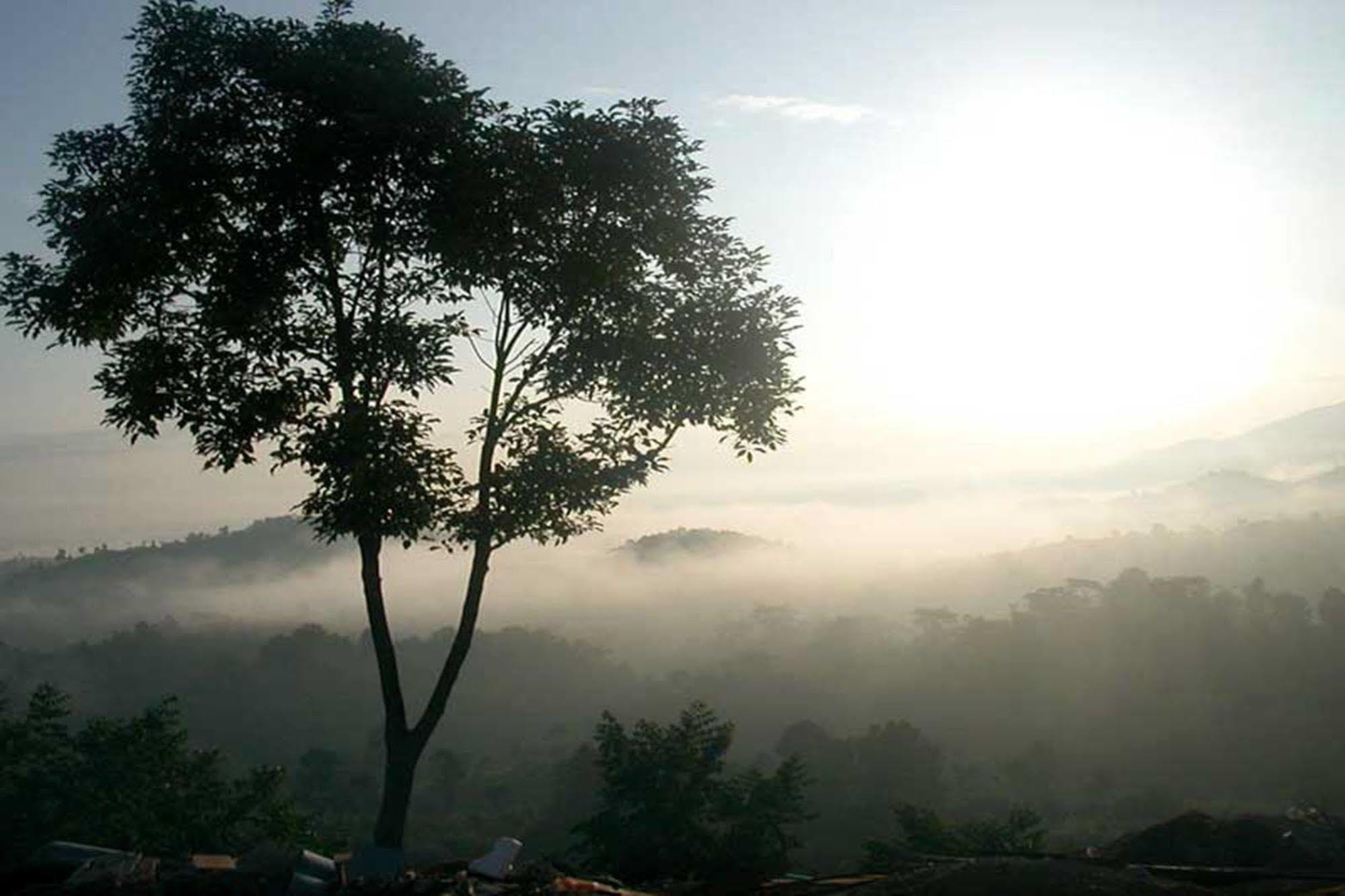 Chiang Rai Valley Resort @Doi Hom Fha Mae Chan Bagian luar foto