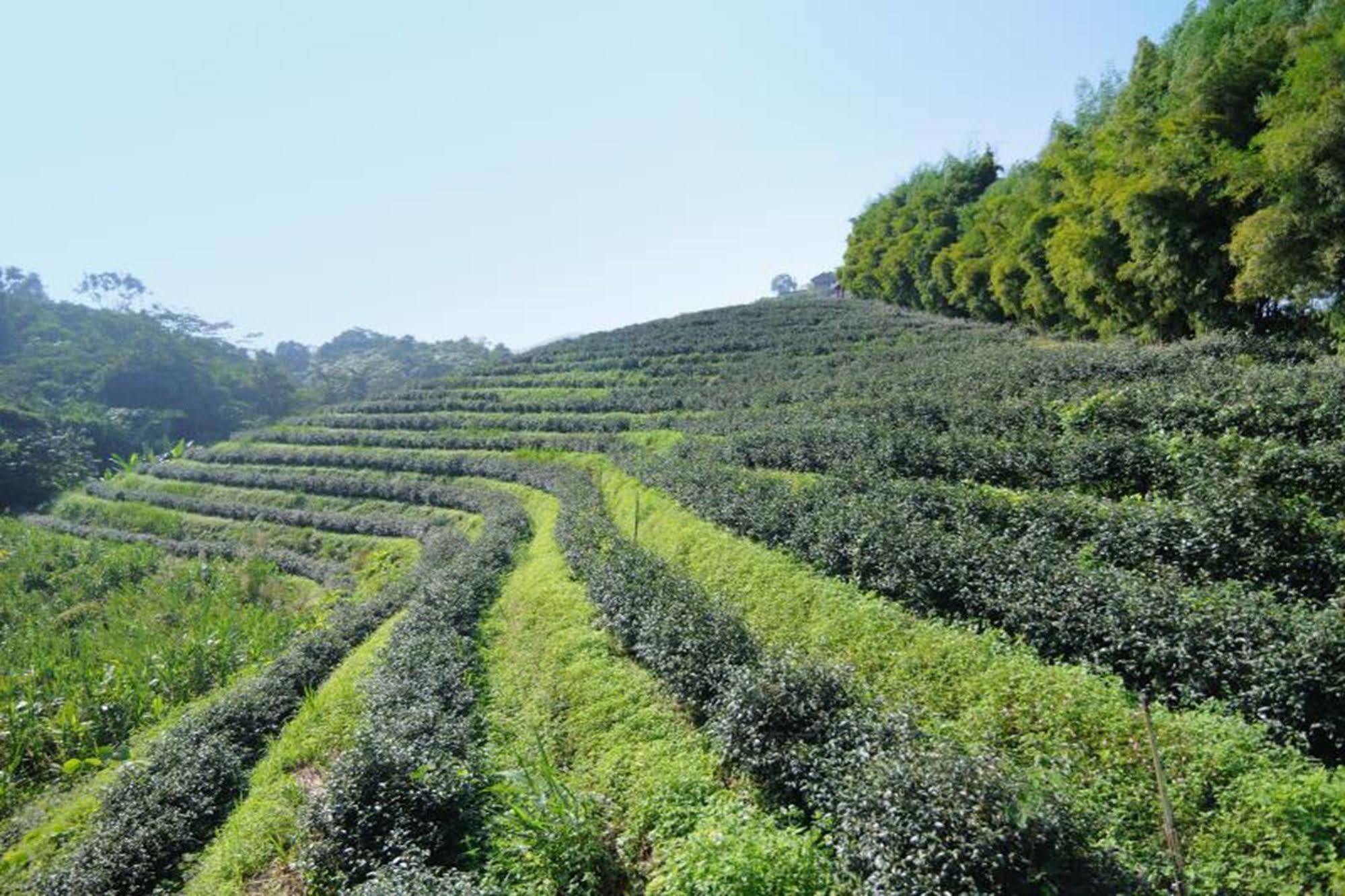 Chiang Rai Valley Resort @Doi Hom Fha Mae Chan Bagian luar foto